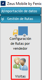 Opción Visitas en la consola